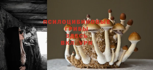 спиды Белоозёрский