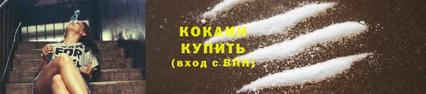 дживик Беломорск